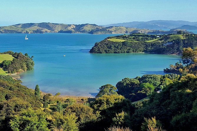 Private Guided Best of Waiheke Island - Key Points