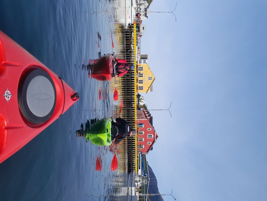 Private: Guided Kayak Tour in Siglufjörður / Siglufjordur. - Key Points