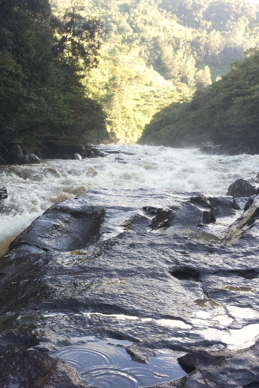 Private Guided Rafting on Magdalena River - Key Points