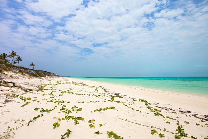 Private Half Day Charter Tour in Turks and Caicos - Key Points