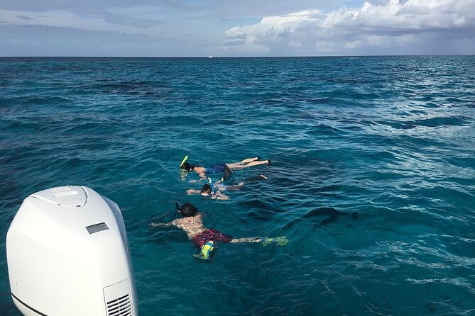 Private Half Day Stingray City, Snorkeling and Starfish Beach Tour - Included Amenities