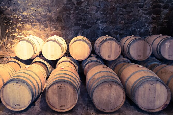 Private Mvd Winery Visit and Paired Lunch With Wines - Key Points