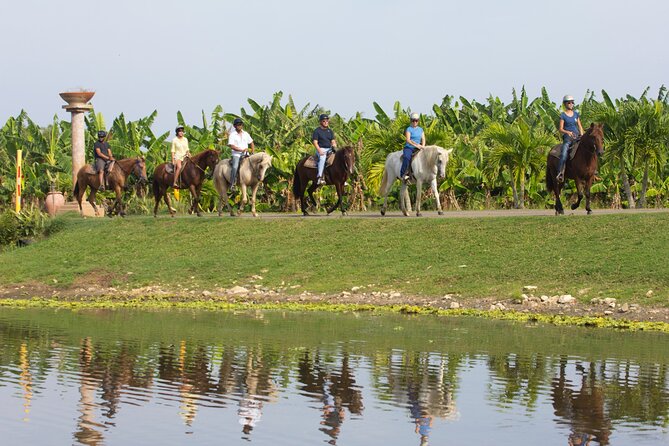 Private Ranch Horseback Tour in Carolina, Puerto Rico - Overview of the Tour