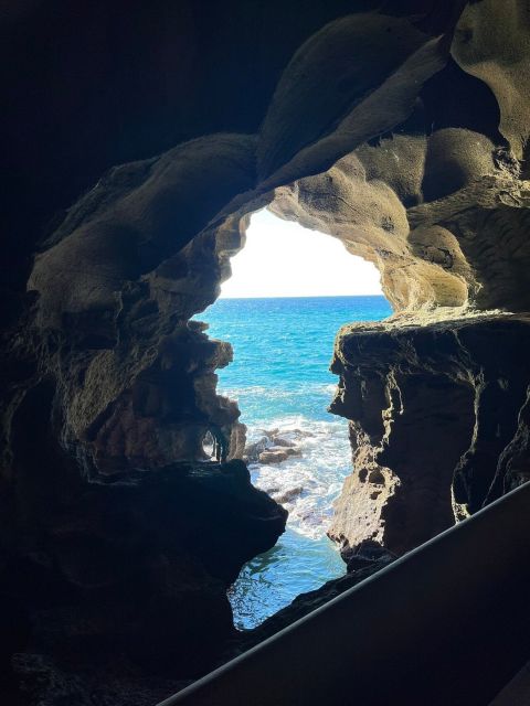 Private Tangier Tour From Estepona Including Camel & Lunch - Key Points