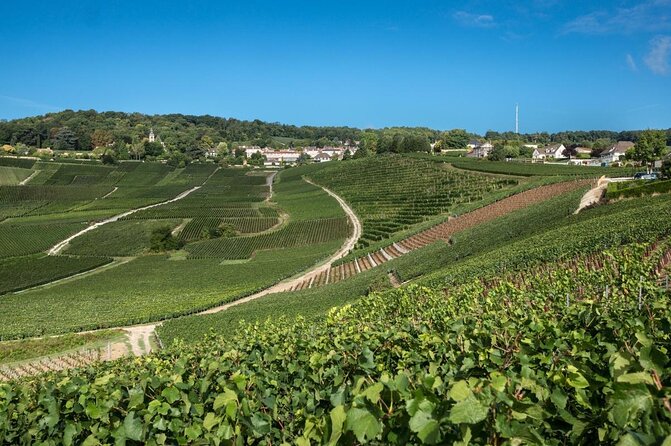 Private Tour: Full Day Veuve Clicquot to Reims or Epernay Region - Good To Know