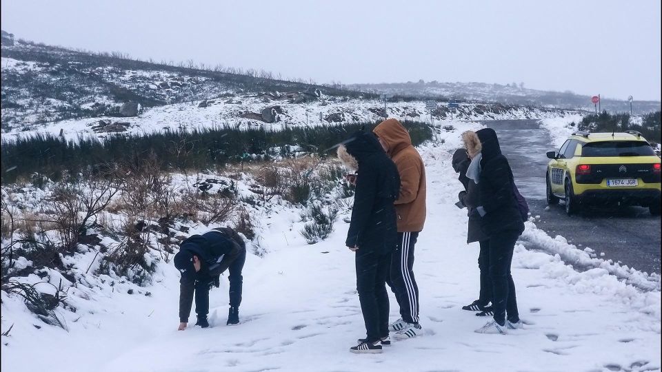 Private Tour Through Serra Da Estrela and Its Famous Cheese - Key Points