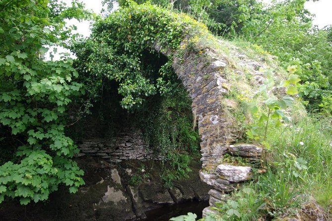 Private Tour:Ring of Kerry,Kerry Cliffs From Kenmare. - Tour Overview and Highlights