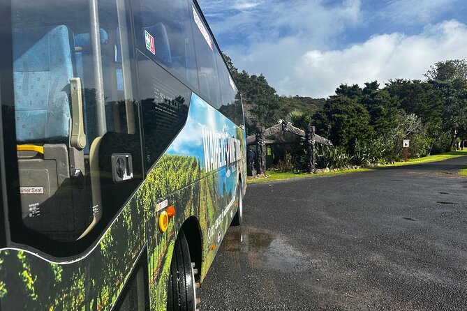 Private Waiheke Island Maori Cultural Tour + Wine + Lunch - Key Points