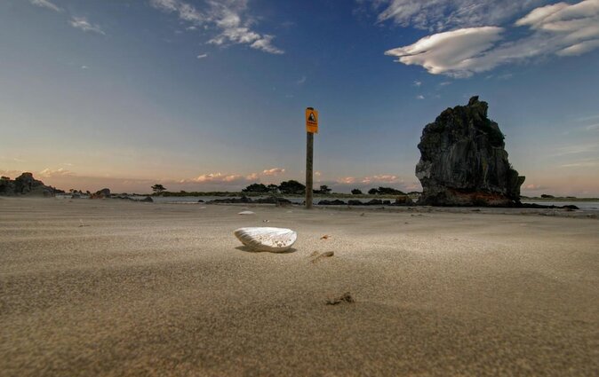 Private Walking Tour From Christchurch - Lyttelton & Godley Head - Key Points