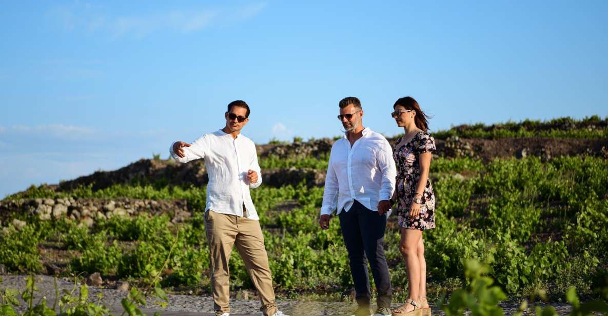 Private Wine Tasting and Food Pairing With Caldera Views - Key Points