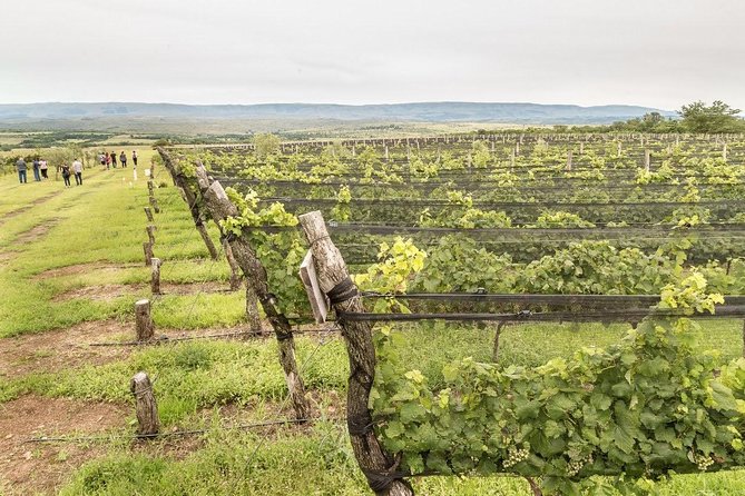 Private Wine Tour - Calamuchita - Key Points
