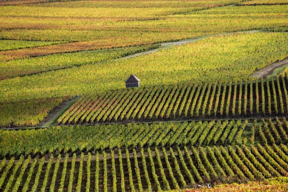 Private Wine Tour in Côte De Nuits and Côte De Beaune - Key Points