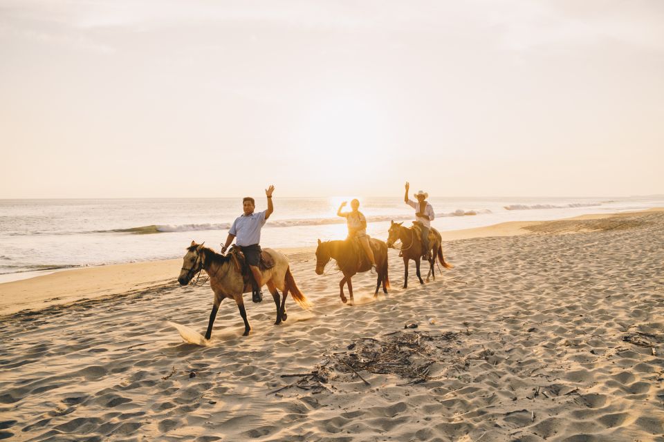 Puerto Escondido: Sunset Horse Ride - Key Points