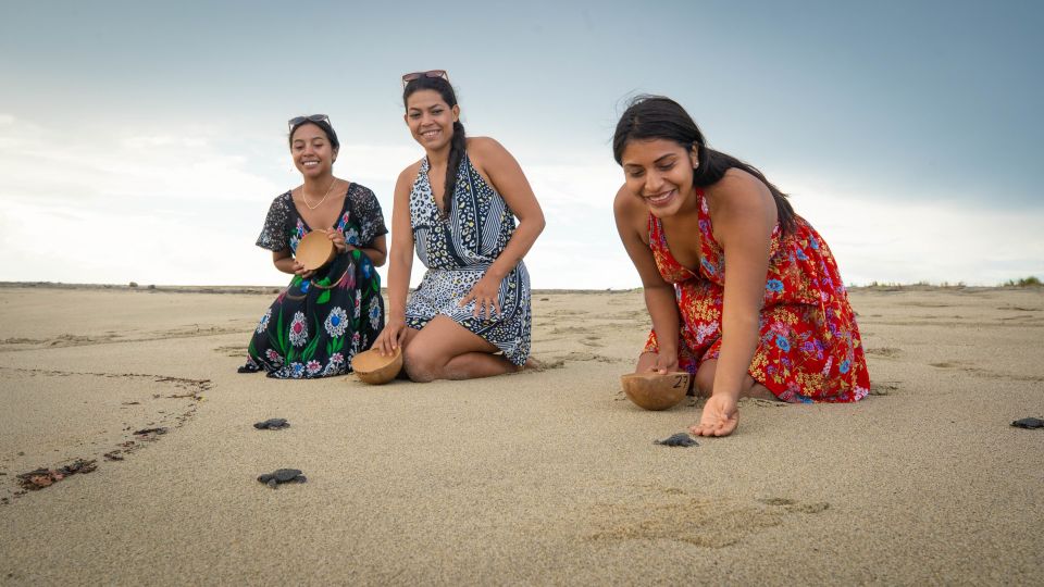 Puerto Escondido: Turtle Release and Bioluminescent Plankton - Key Points