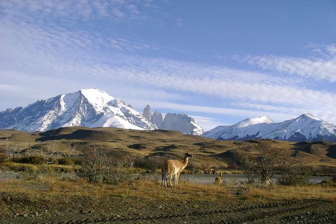 Puerto Natales: Full Day Tour Torres Del Paine - Itinerary Highlights