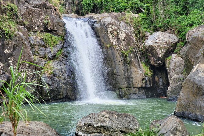 Puerto Rico Tour to El Yunque Rainforest Hiking to Waterfall - Key Points