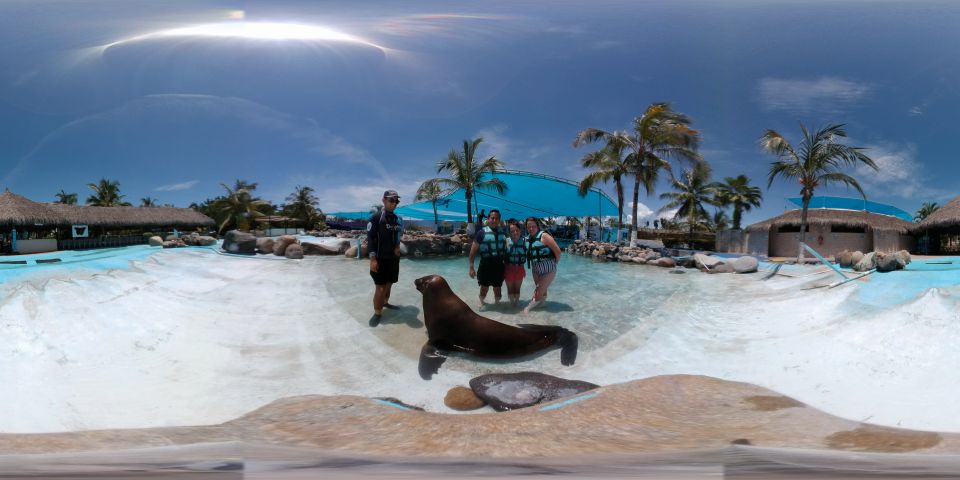 Puerto Vallarta: Sea Lion Discovery