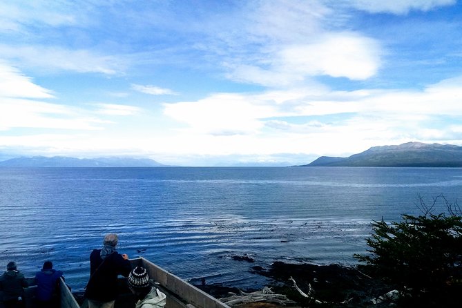 Punta Arenas & Strait of Magellan Park Value Excursion - Overview of the Excursion