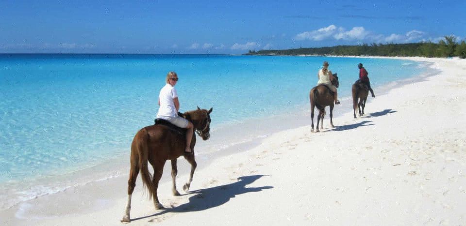 Punta Cana: Horseback Riding Through the Beautiful Beaches