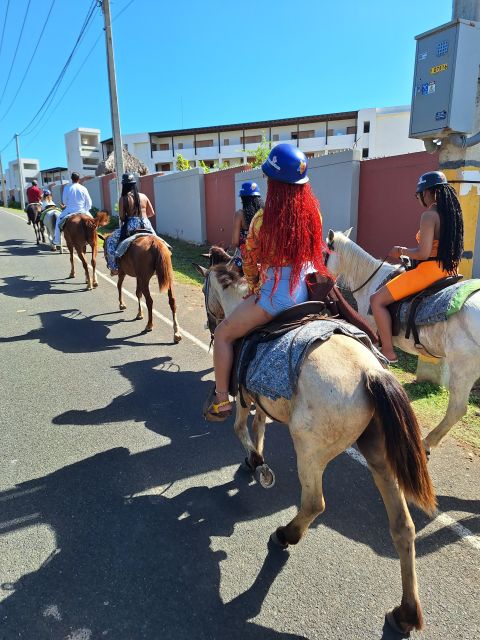 Punta Cana on Horseback: Guided Tour With Included Transportation - Key Points