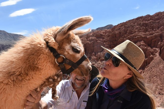 Purmamarca Walk With Llamas - Key Points