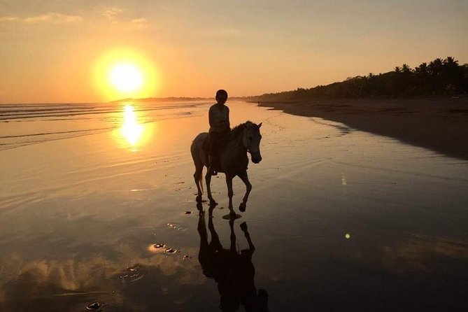 Quality Horseback Riding On The Beach