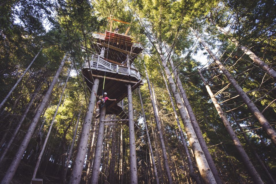 Queenstown: 1-Hour Zipline Tour With 2-Lines & 21-Meter Drop - Key Points