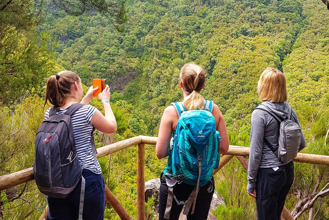 Rabaçal 25 Fontes Levada Walk in Small Groups - Key Points