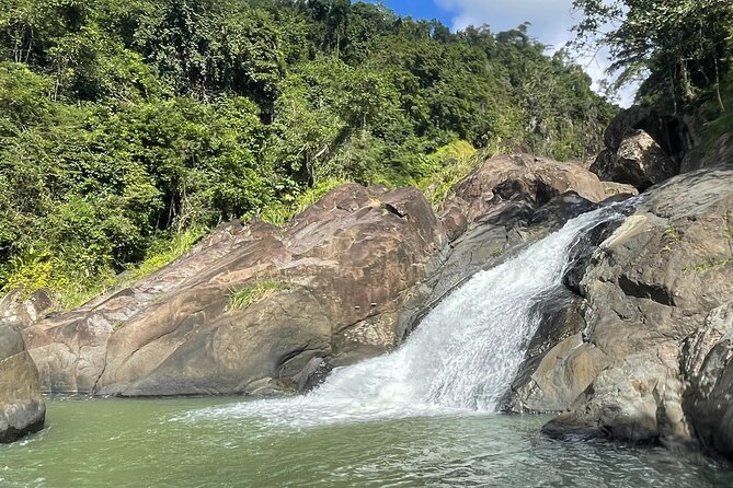 Rainforest Adventure: Best Hidden Waterfall Tour