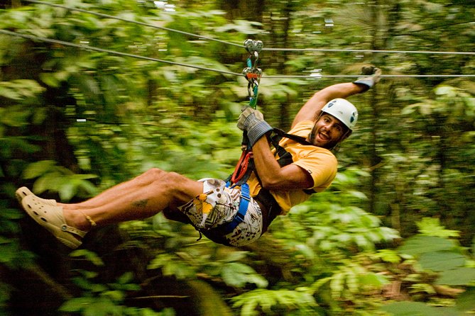 Rainforest Canopy Adventure From Vieux Fort or North Island, St Lucia - Overview of the Adventure