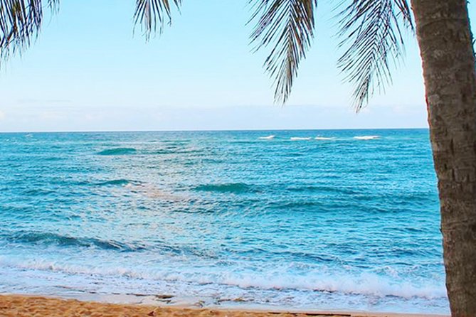 Rainforest Zipline, Luquillo Beach, and Natural Springs Day Trip - Overview of the Day Trip