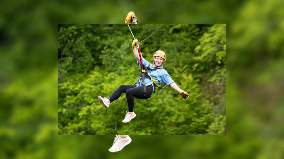 Rainforest Ziplining Adventure - Key Points