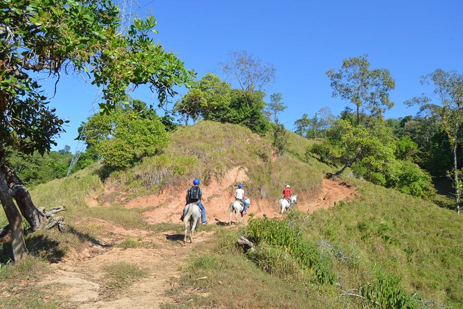 Rancho Típico Don Juan, Horseback Riding Tour - Key Points