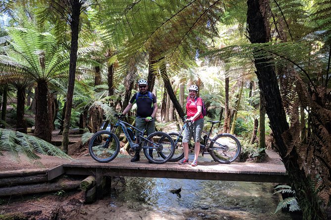 Redwoods Mountain Bike Ebike Tour HD