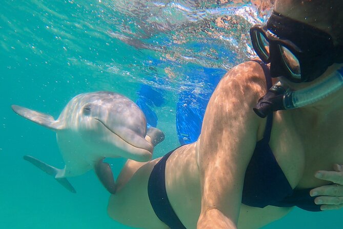 Reef, Beach and Sandbar Tour From Providenciales - Tour Highlights