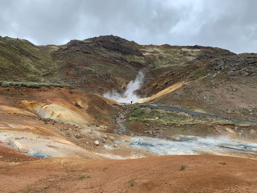 Reykjanes, Volcano & Blue Lagoon - Reykjavik Shore Excursion - Key Points
