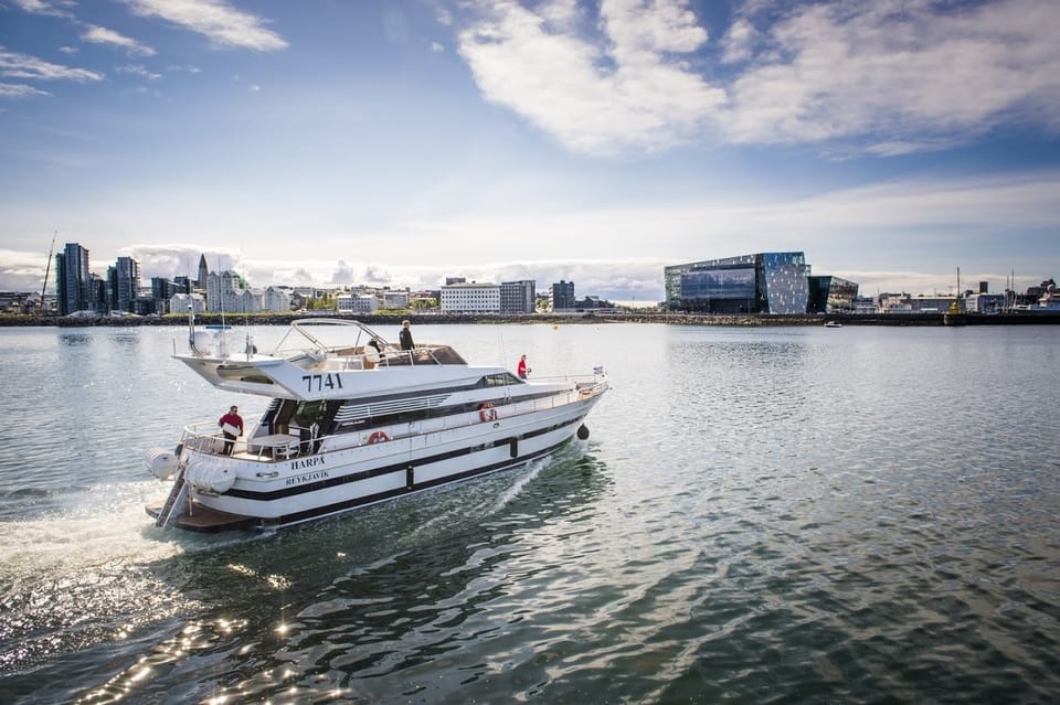 Reykjavík: New Years Eve Northern Lights Yacht Cruise - Key Points