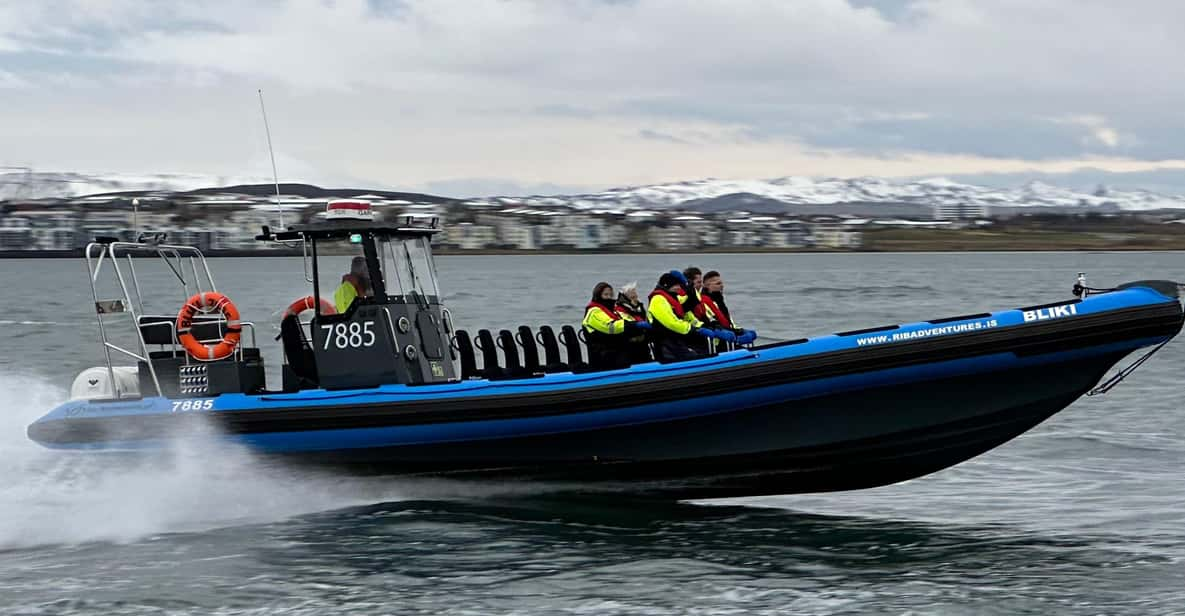 Reykjavik: RIB Boat Adventure From Kópavogur Harbor - Key Points