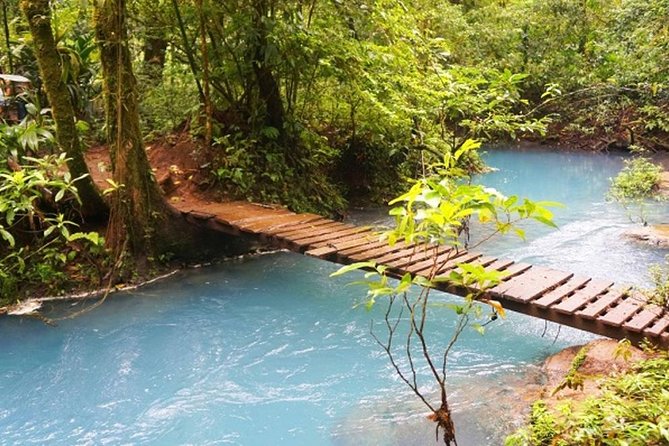 Rio Celeste Hiking, Sloth Sanctuary & Llanos De Cortes Waterfall Tour - Itinerary Breakdown