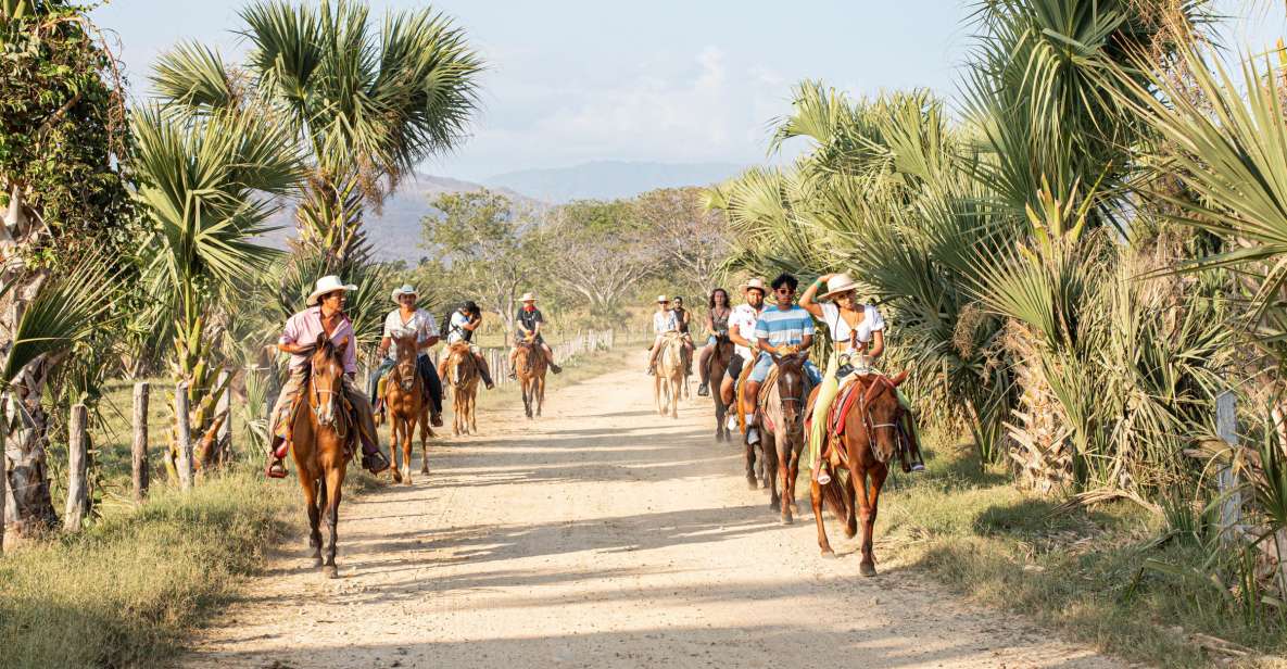 River, Ocean & Sunset Horse Riding Tour - Key Points