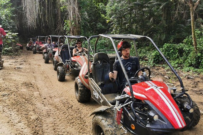 Roatan Eco-Safari: Dune BUGGY, Wildlife, History, Beach Adventure - Overview of the Eco-Safari