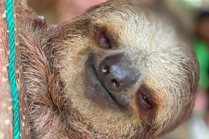 Roatan Wild Life Experiences With Chocolate and Rum Tasting - Key Points