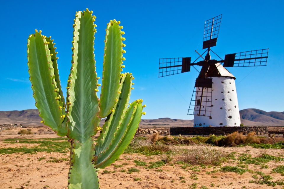 Romantic Fuerteventura Stroll: Historic Sites & Seaside Walk - Key Points