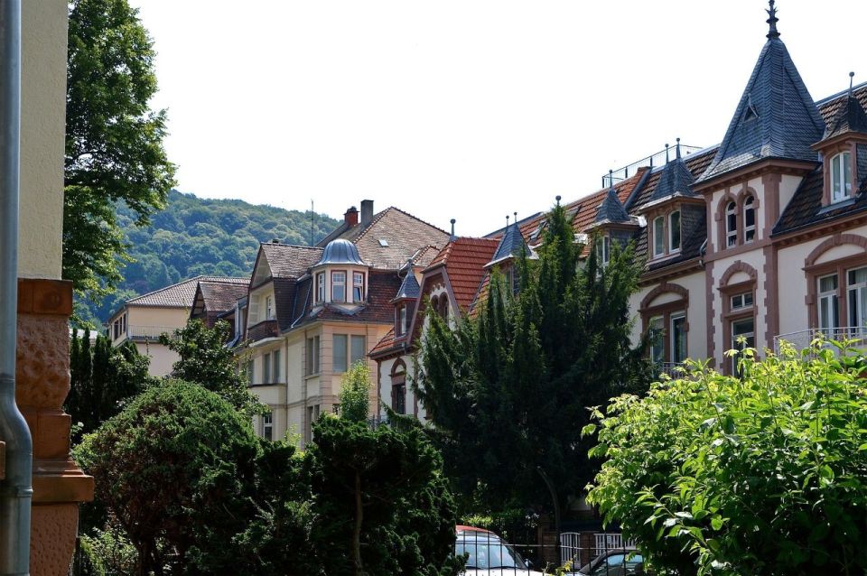 Romantic Heidelberg: Private Tour With Professional Guide - Key Points