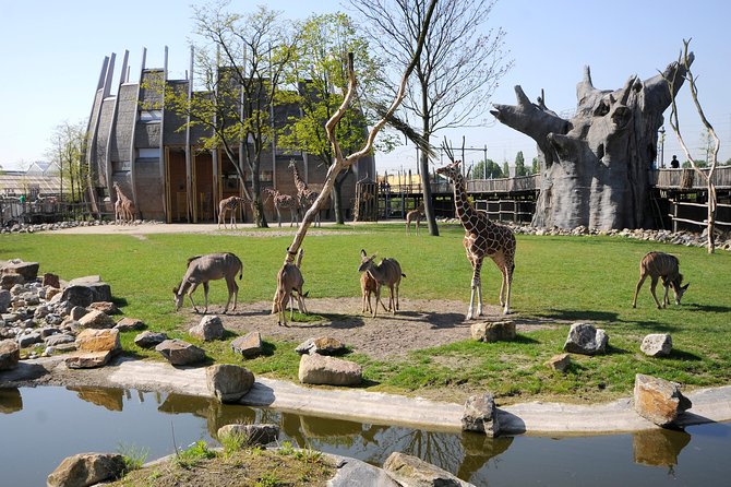 Rotterdam Zoo Diergaarde Blijdorp Direct Entrance Ticket - Good To Know