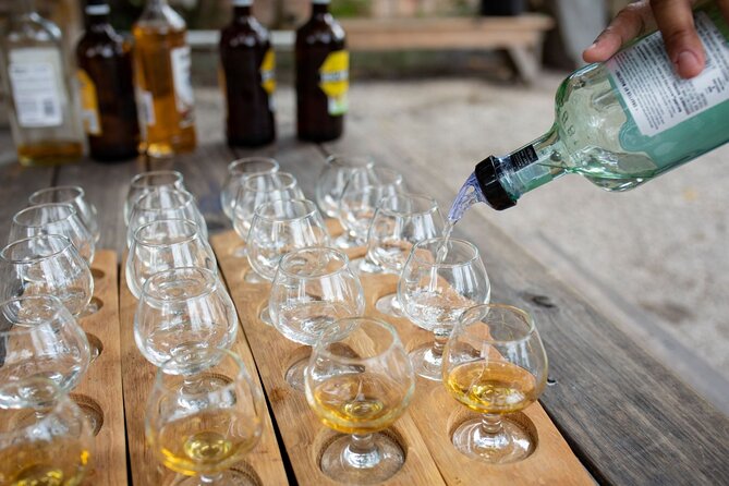 Rum Tasting and Food Walking Tour in Nassau Bahamas - Tour Overview