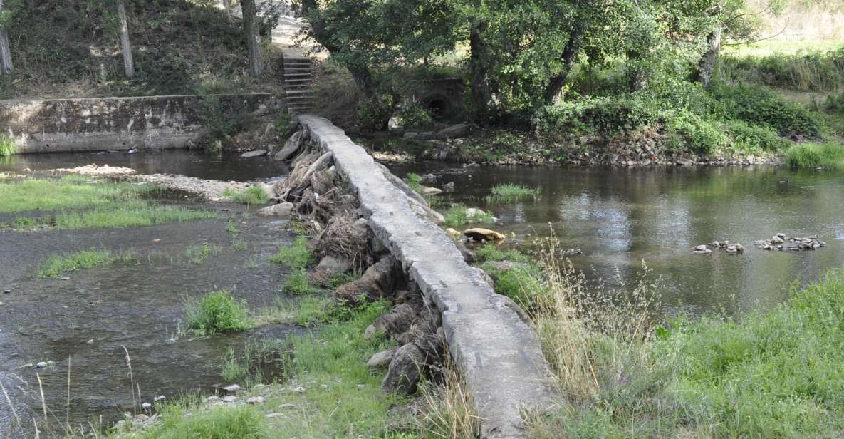 Sabugal Walking Tour: Stories and Charms of the Côa River - Key Points