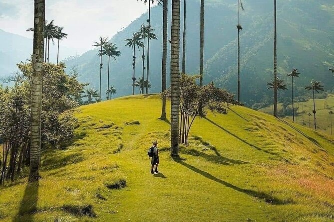 Salento, Cocora and Filandia Private Tour From Pereira or Armenia - Tour Overview
