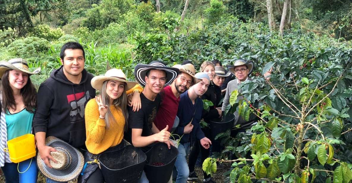 Salento: Private Cocora Valley, Salento & Coffee Farm Tour - Key Points