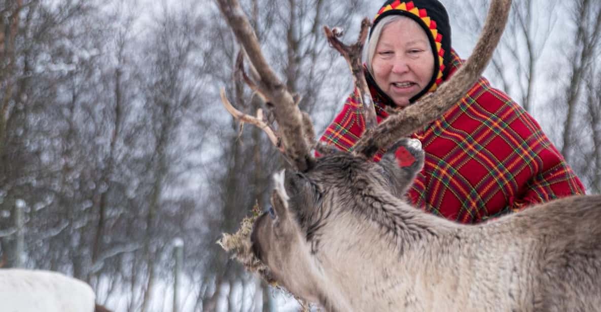 Sami Reindeer Experience - Good To Know